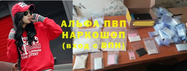 ECSTASY Новозыбков
