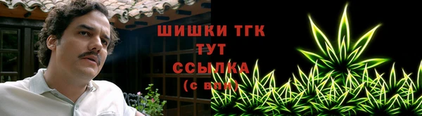 ECSTASY Новозыбков