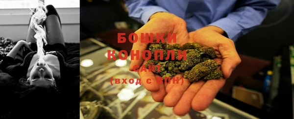 PSILOCYBIN Нязепетровск