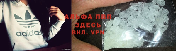 ECSTASY Новозыбков