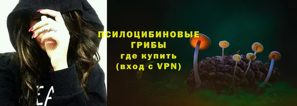 ECSTASY Новозыбков