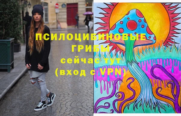 ECSTASY Новозыбков